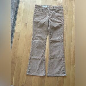 Pilco pants( anthropologie)   size 29